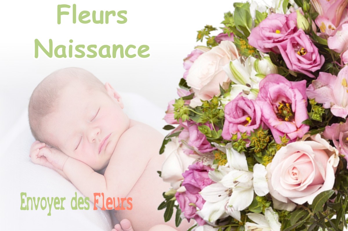 lIVRAISON FLEURS NAISSANCE à TRENAL